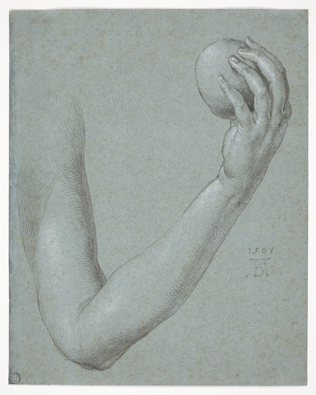 Ramię Ewy autorstwa Albrecht Dürer