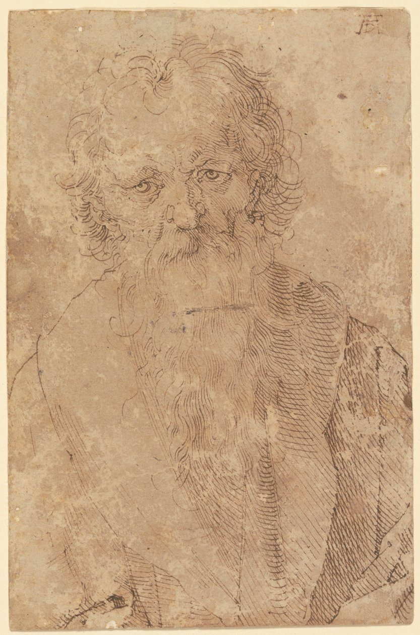 Brodaty stary mężczyzna autorstwa Albrecht Dürer