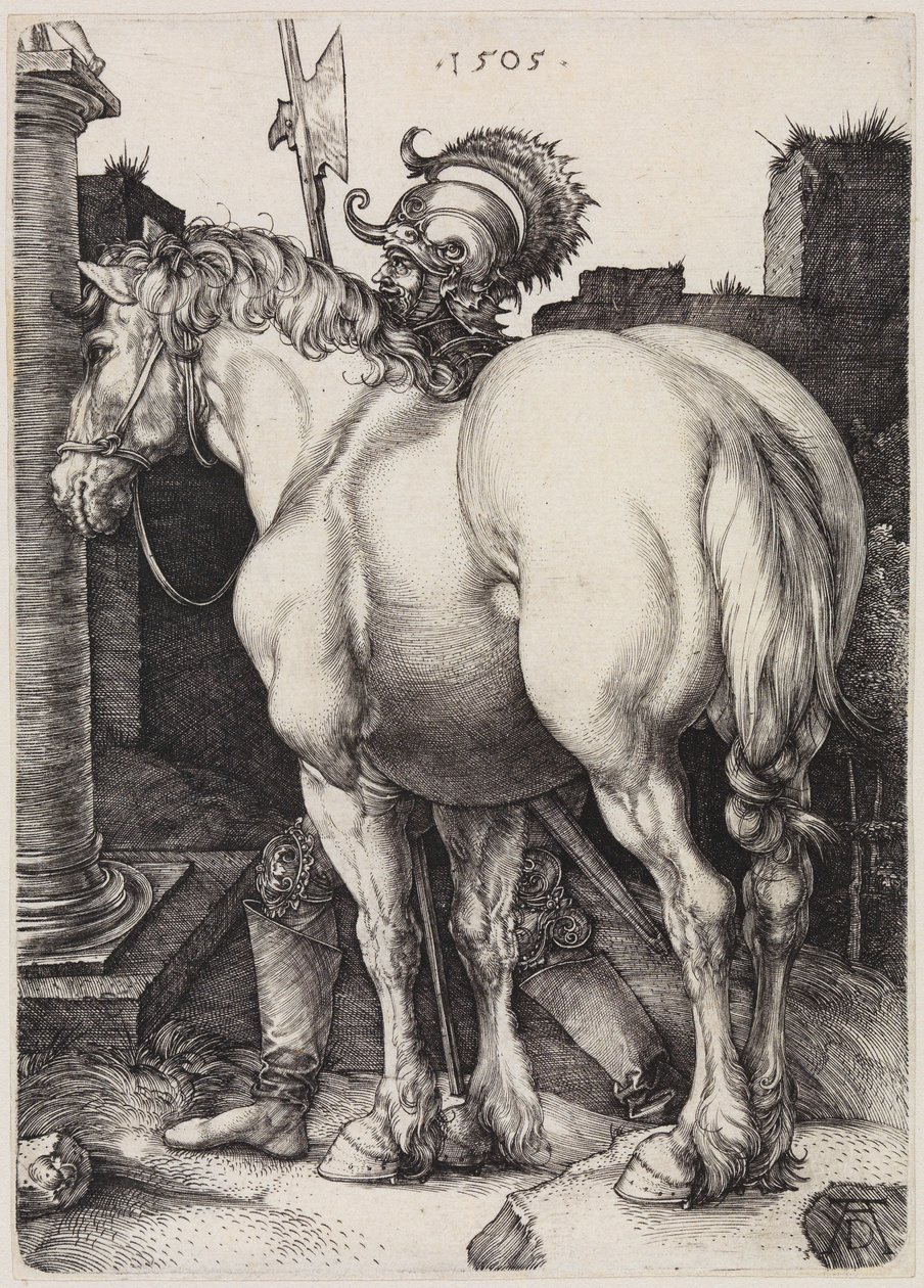 Wielki koń autorstwa Albrecht Dürer