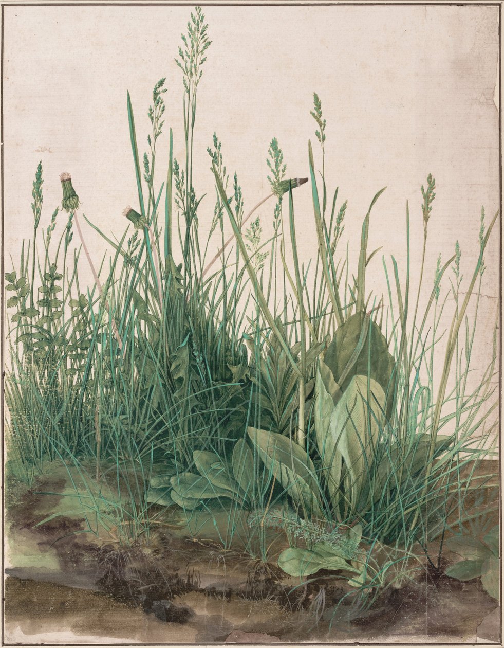 Duży kawałek trawnika autorstwa Albrecht Dürer