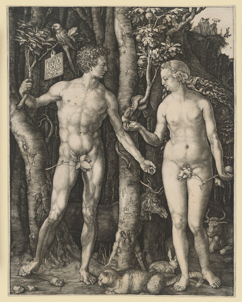 Upadek człowieka autorstwa Albrecht Dürer