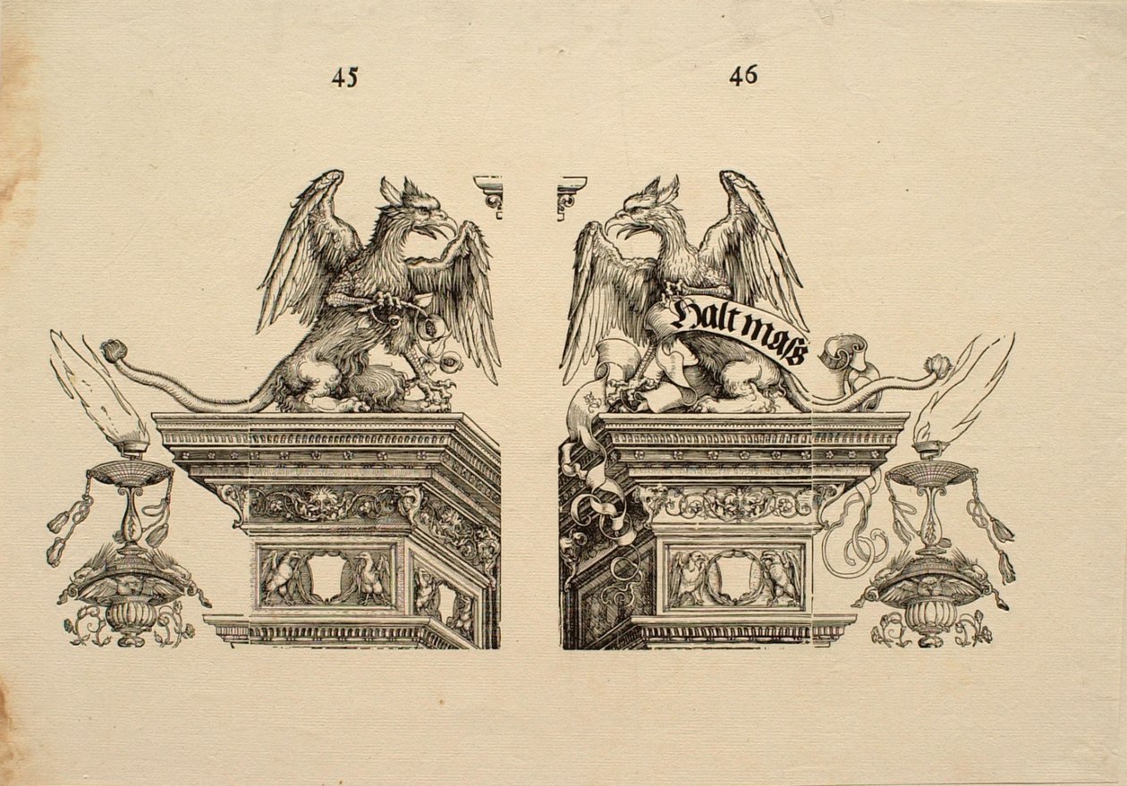 Detal 45 i 46 autorstwa Albrecht Dürer