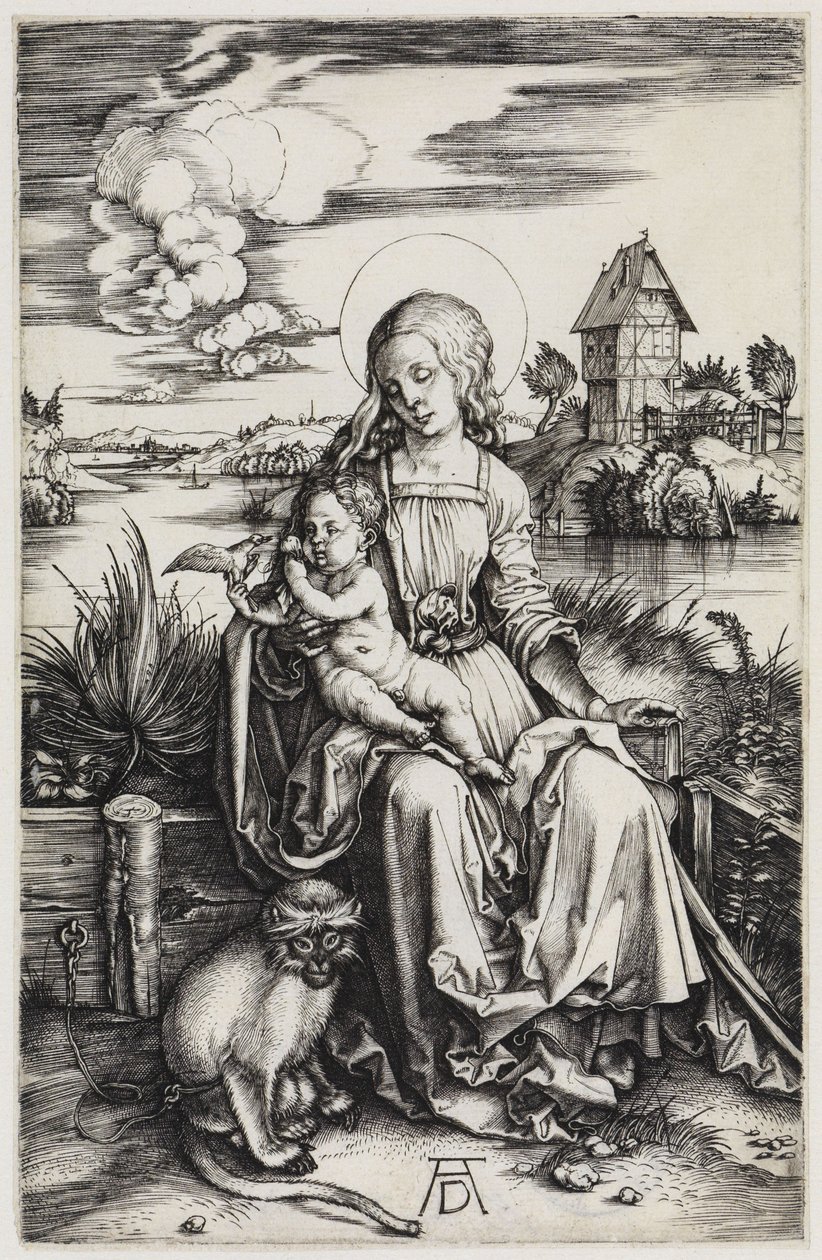 Madonna z małpką morską autorstwa Albrecht Dürer