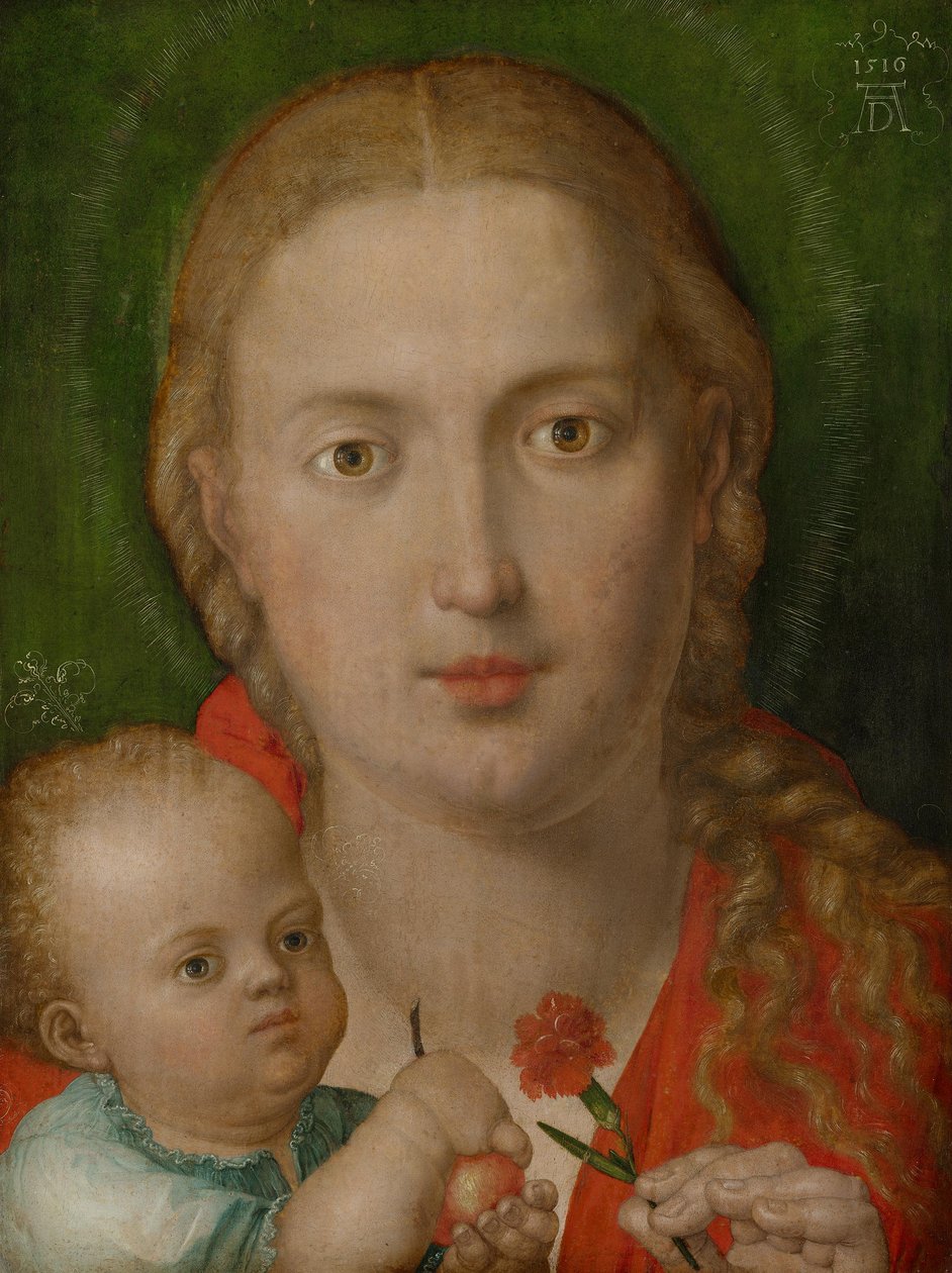 Madonna z goździkiem autorstwa Albrecht Dürer