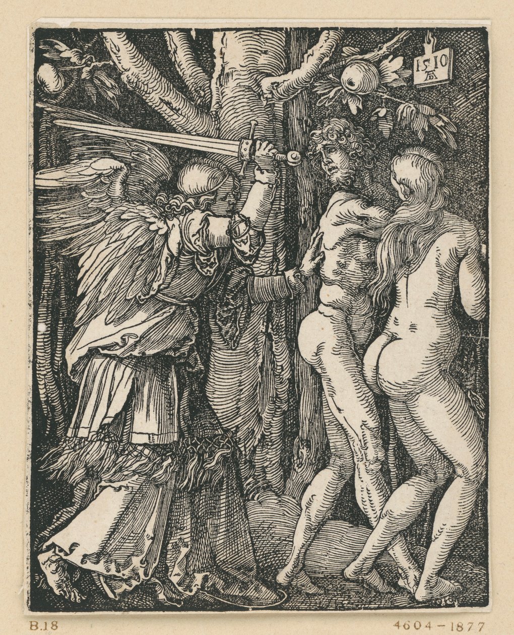Wygnanie z raju (Mała Pasja) autorstwa Albrecht Dürer