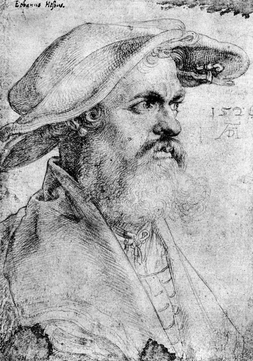 Eobanus Hesse, 1526, 1936 autorstwa Albrecht Dürer