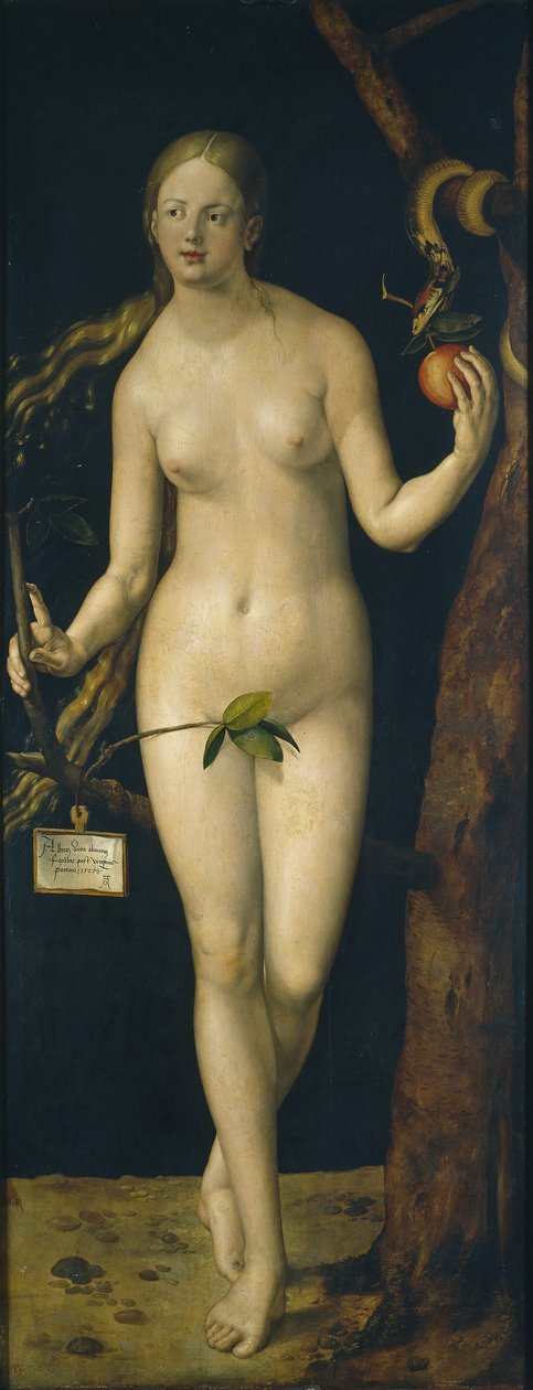 Ewa, 1507 autorstwa Albrecht Dürer