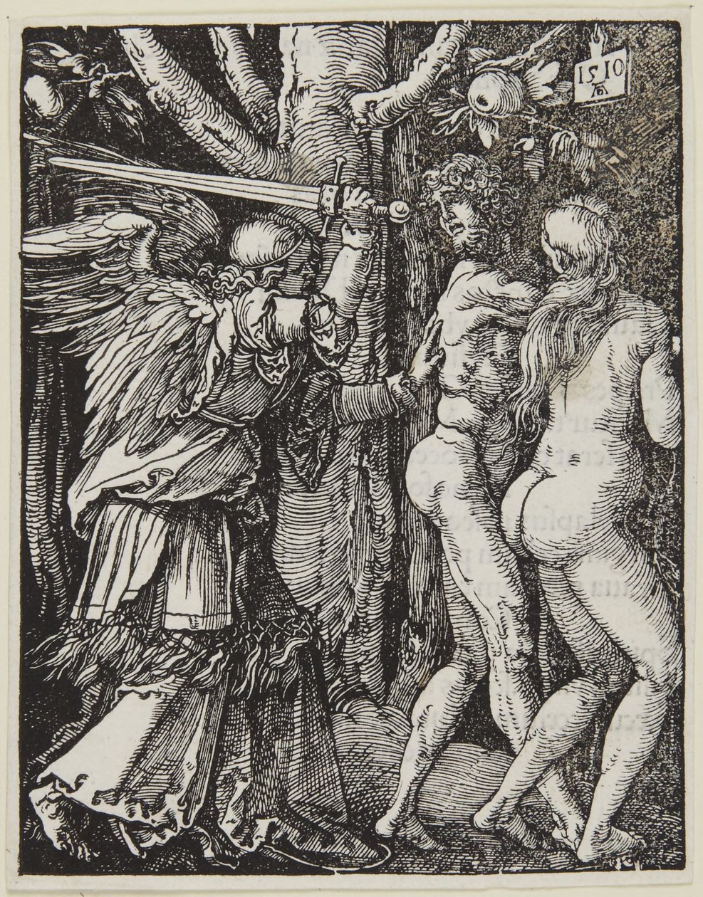 Wygnanie z raju autorstwa Albrecht Dürer
