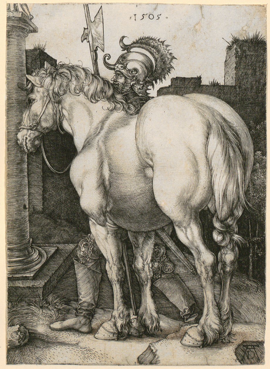 Wielki koń autorstwa Albrecht Dürer