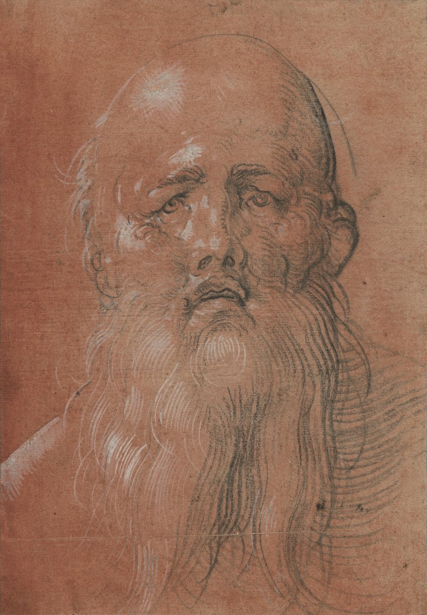 Głowa brodatego mężczyzny autorstwa Albrecht Dürer