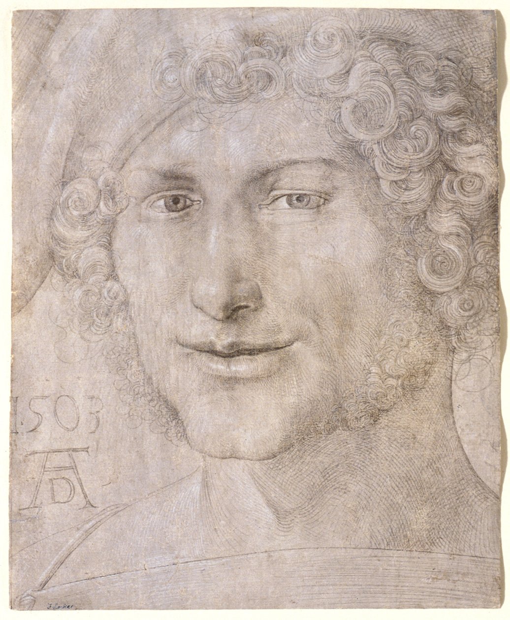 Głowa młodego mężczyzny autorstwa Albrecht Dürer