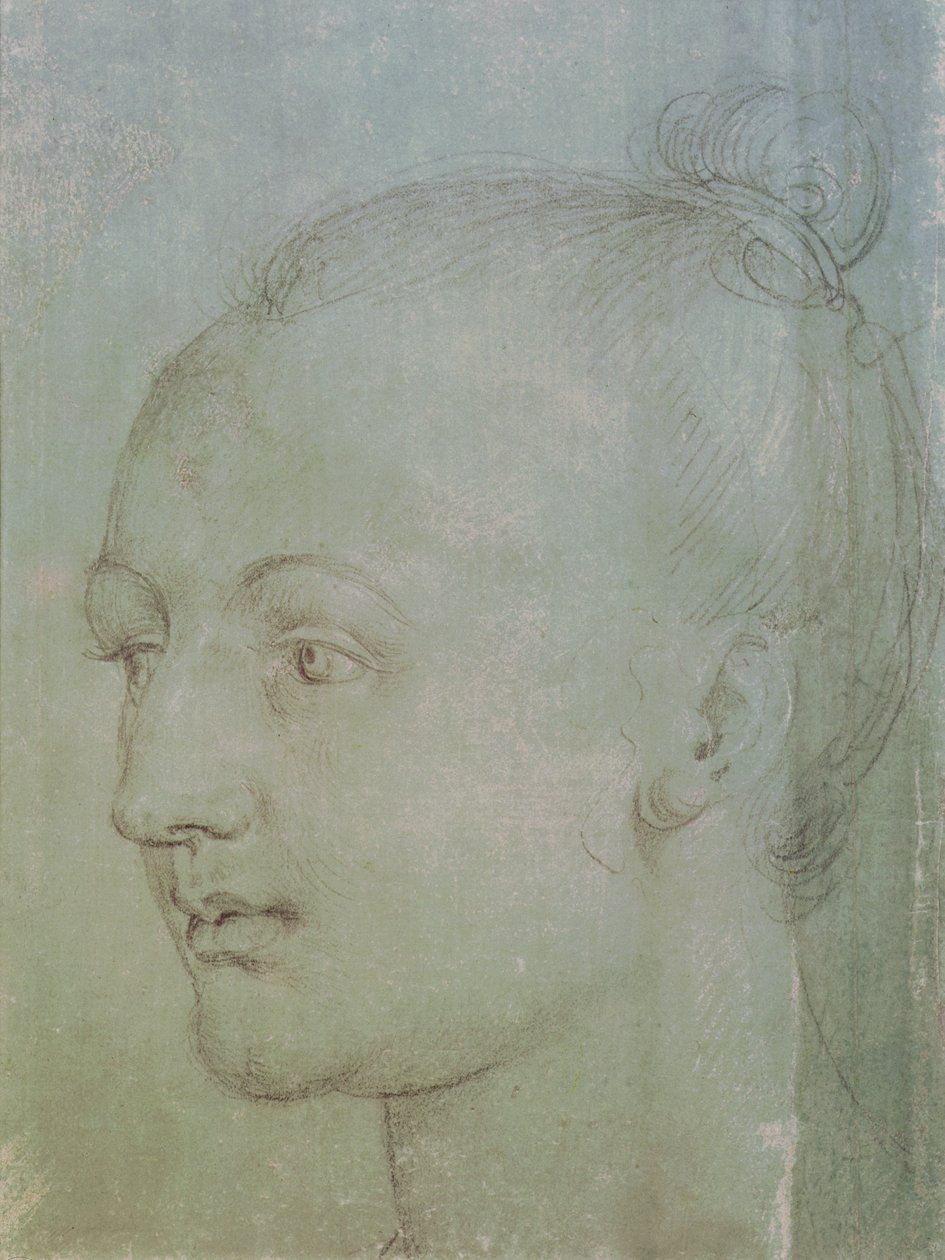 Głowa Młodej Kobiety (czarna kreda podkreślona białą kredą na zielonym papierze) autorstwa Albrecht Dürer