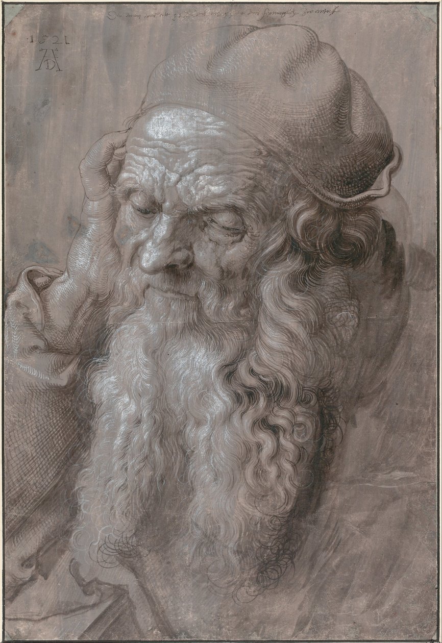Głowa starca autorstwa Albrecht Dürer