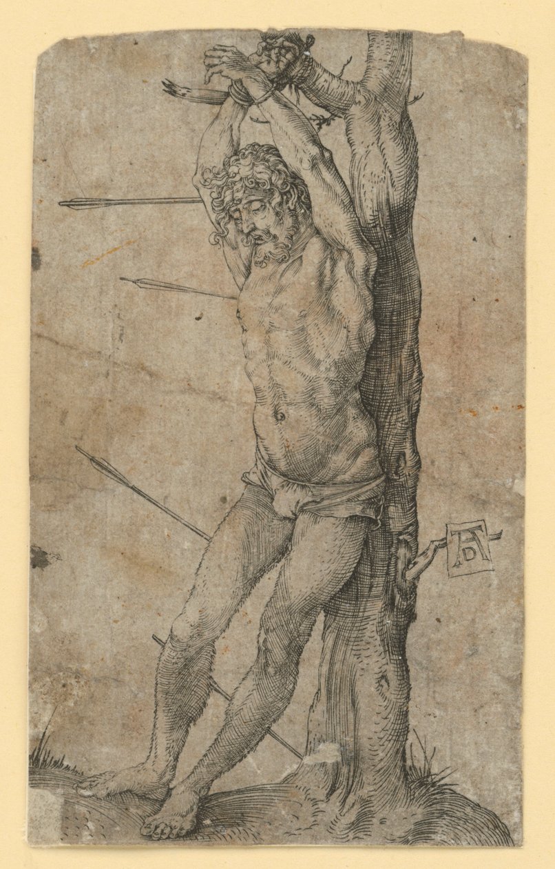 Święty Sebastian przywiązany do drzewa autorstwa Albrecht Dürer