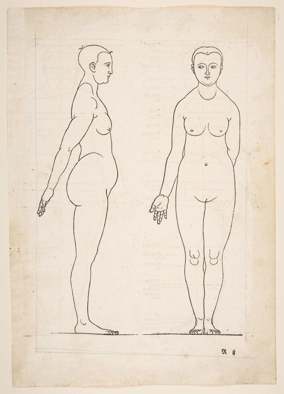 Ilustracja z Czterech ksiąg proporcji ludzkich Dürera, Norymberga, 1528.n.d. autorstwa Albrecht Dürer
