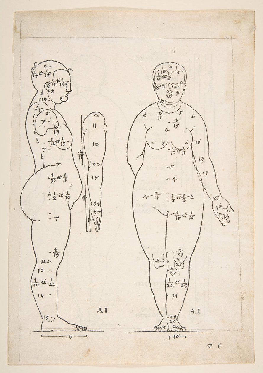 Ilustracja z Czterech ksiąg ludzkich proporcji Dürera, Norymberga, 1528.n.d. autorstwa Albrecht Dürer