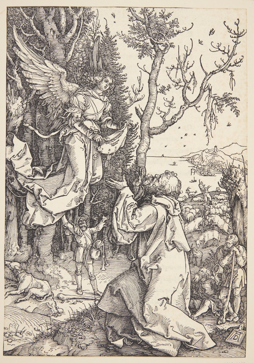 Joachim i anioł autorstwa Albrecht Dürer