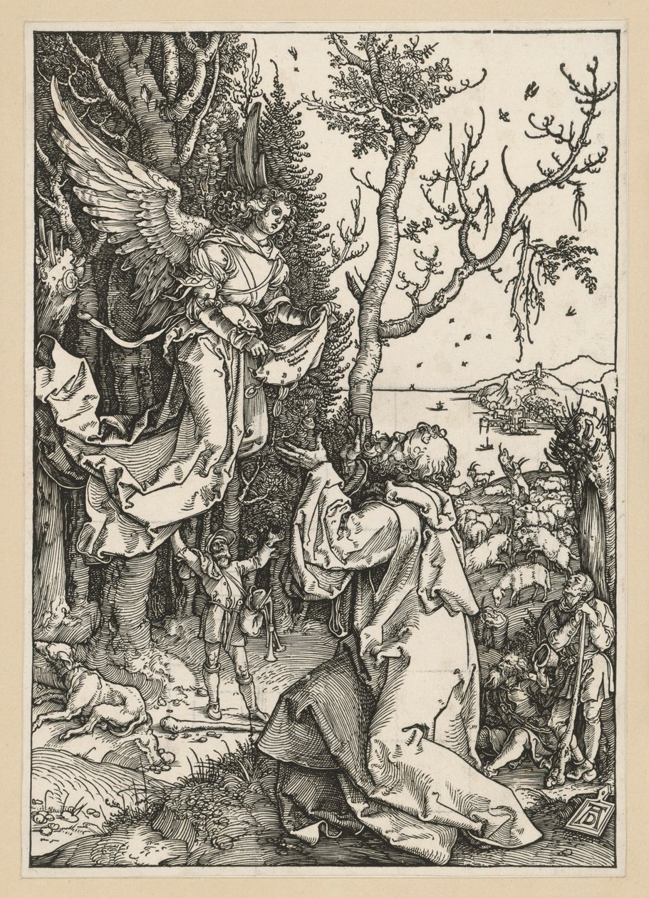 Joachim i anioł (Życie Marii) autorstwa Albrecht Dürer