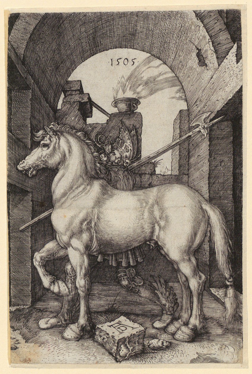 Mały koń autorstwa Albrecht Dürer