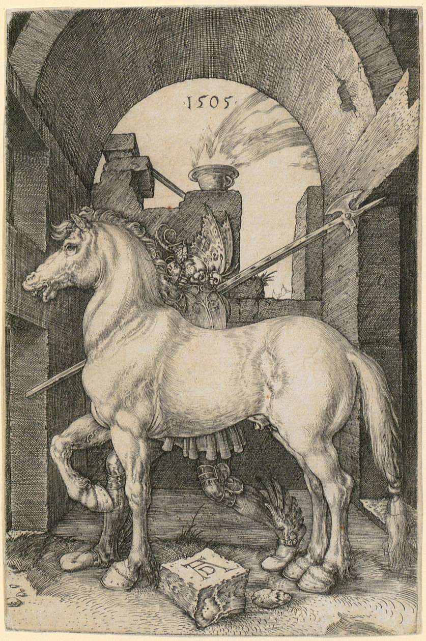 Mały koń autorstwa Albrecht Dürer