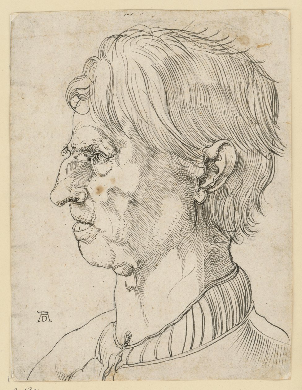 Głowa starszego brodatego mężczyzny, z profilu w lewo autorstwa Albrecht Dürer