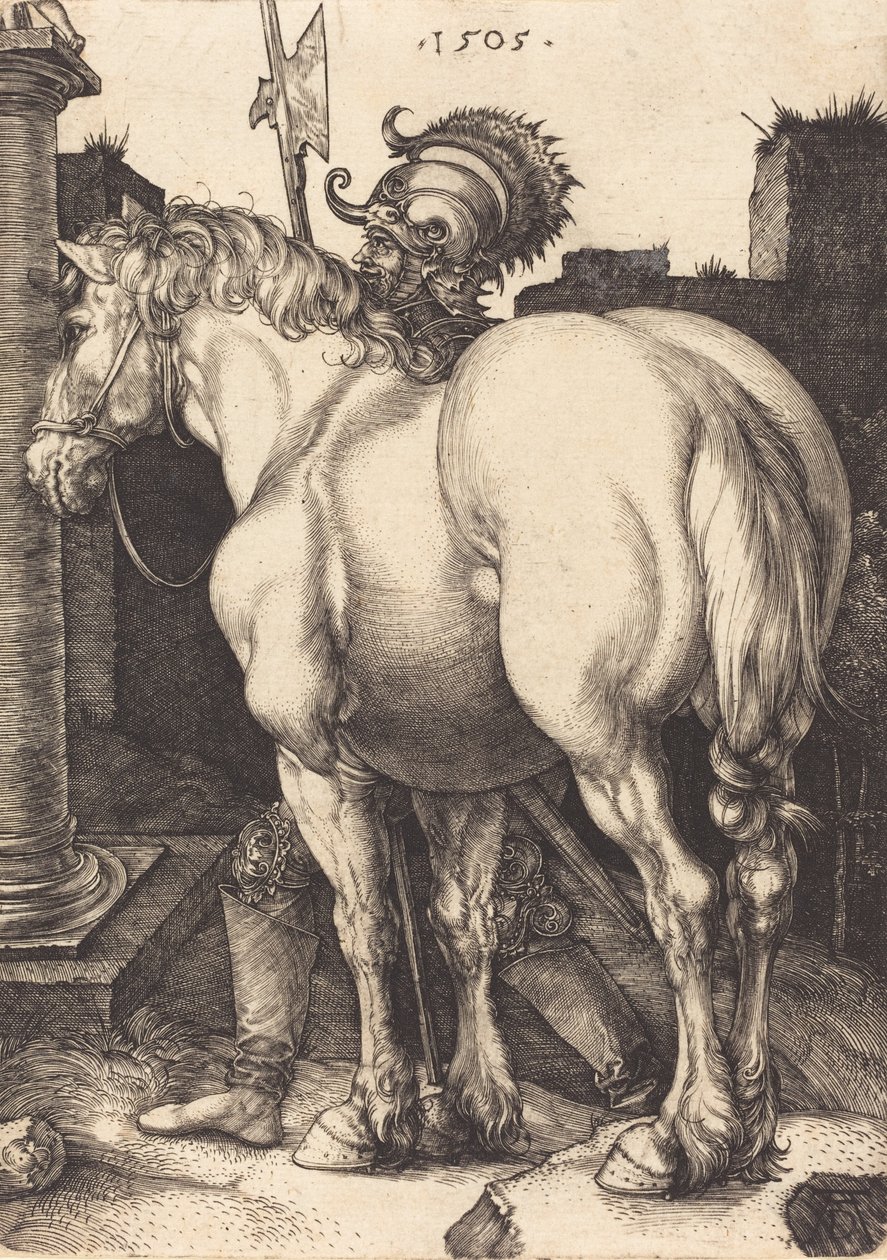 Duży koń, 1505. autorstwa Albrecht Dürer