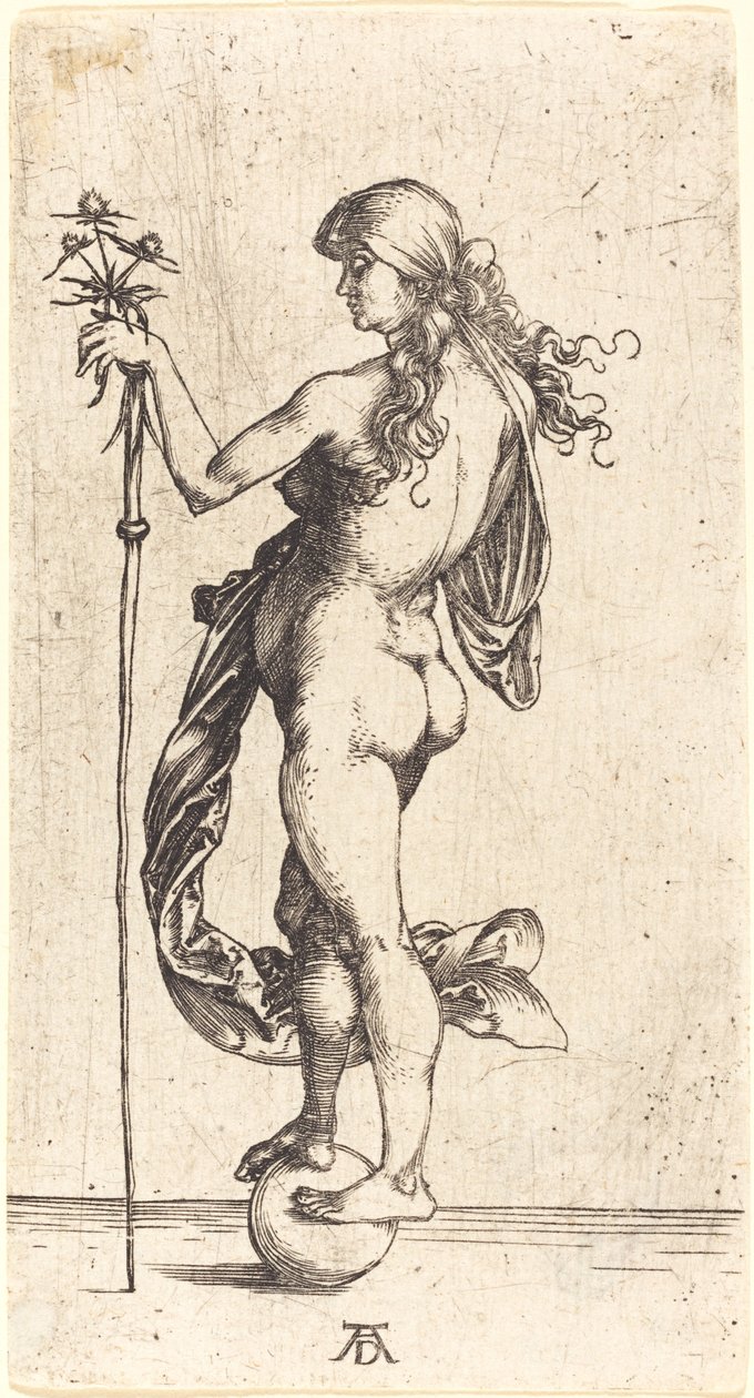 Mała fortuna autorstwa Albrecht Dürer