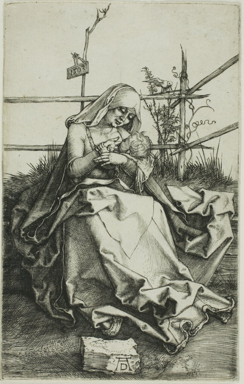 Madonna na trawiastym brzegu autorstwa Albrecht Dürer