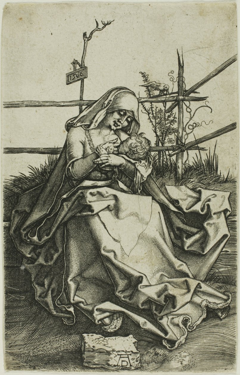 Madonna na trawiastym brzegu autorstwa Albrecht Dürer