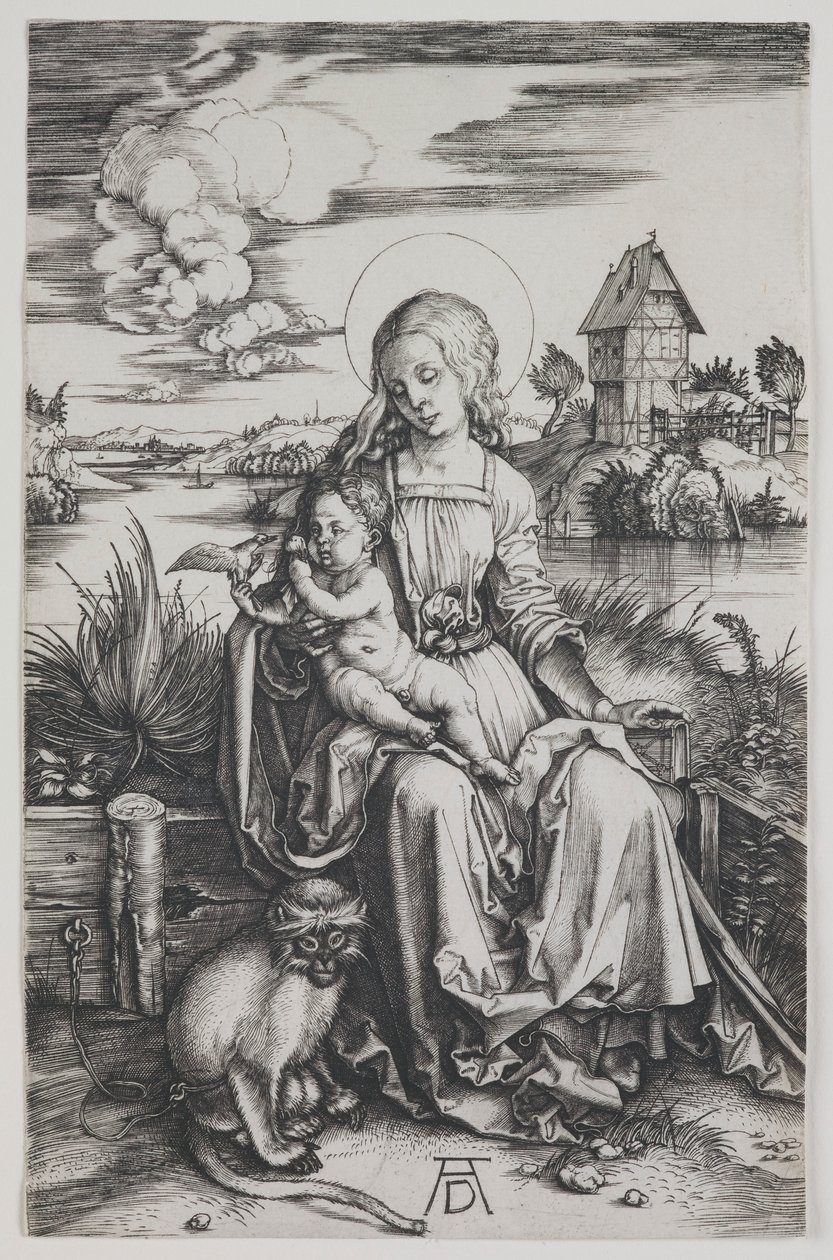 Madonna z małpą autorstwa Albrecht Dürer