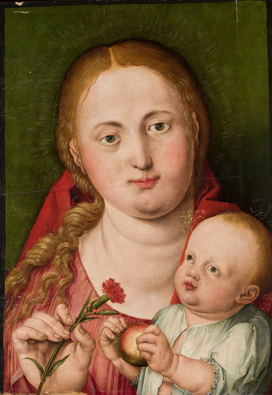 Madonna z Dzieciątkiem i goździkiem autorstwa Albrecht Dürer