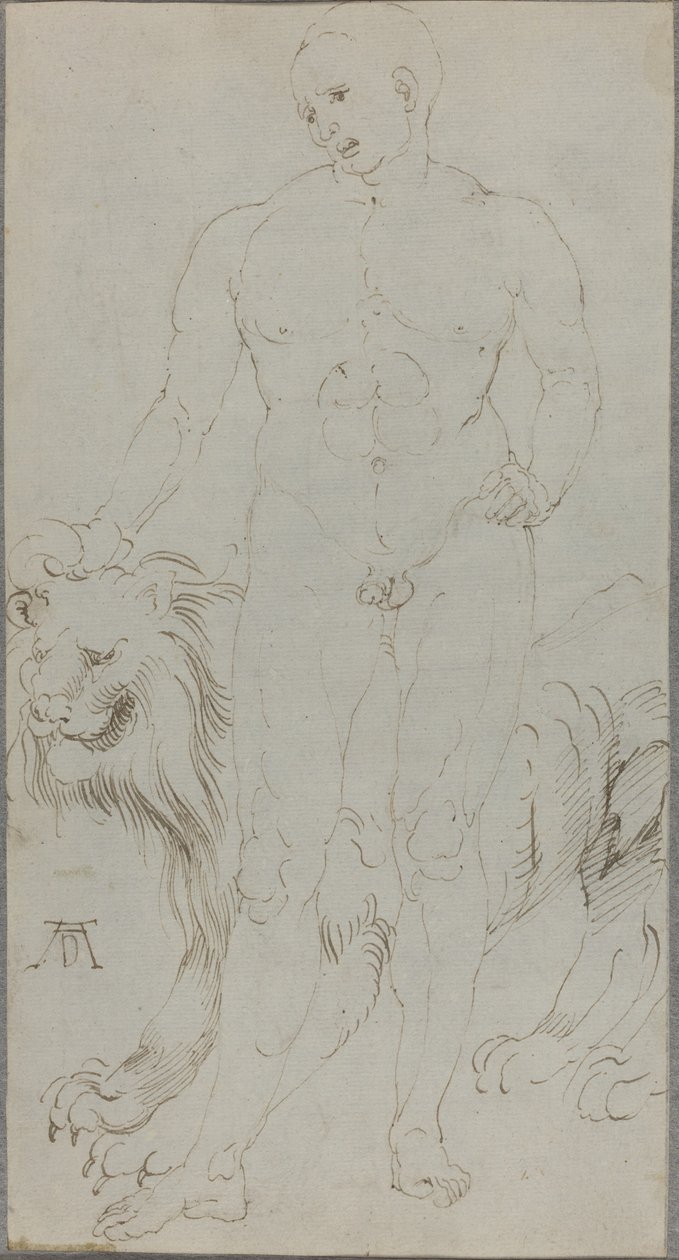 Akt męski z lwem [verso] autorstwa Albrecht Dürer