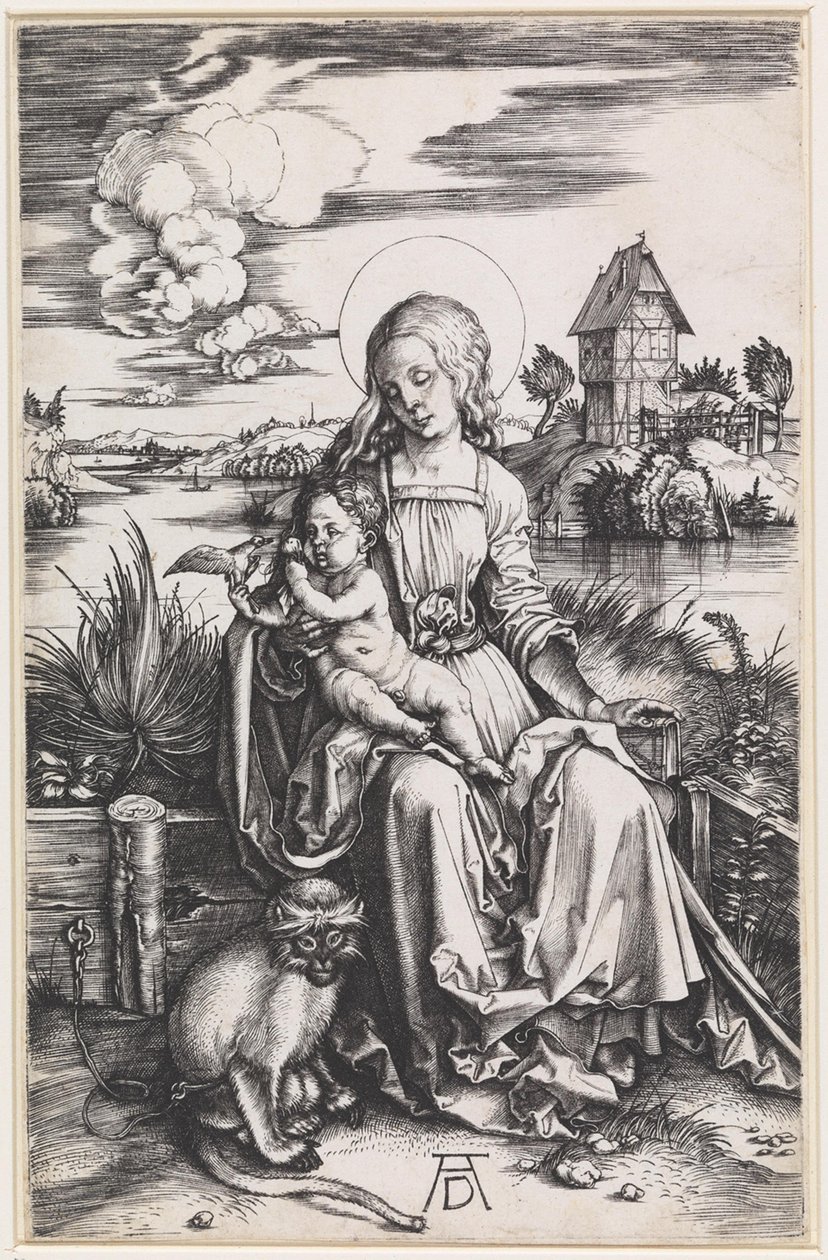 Maria z Dzieciątkiem i małpką autorstwa Albrecht Dürer