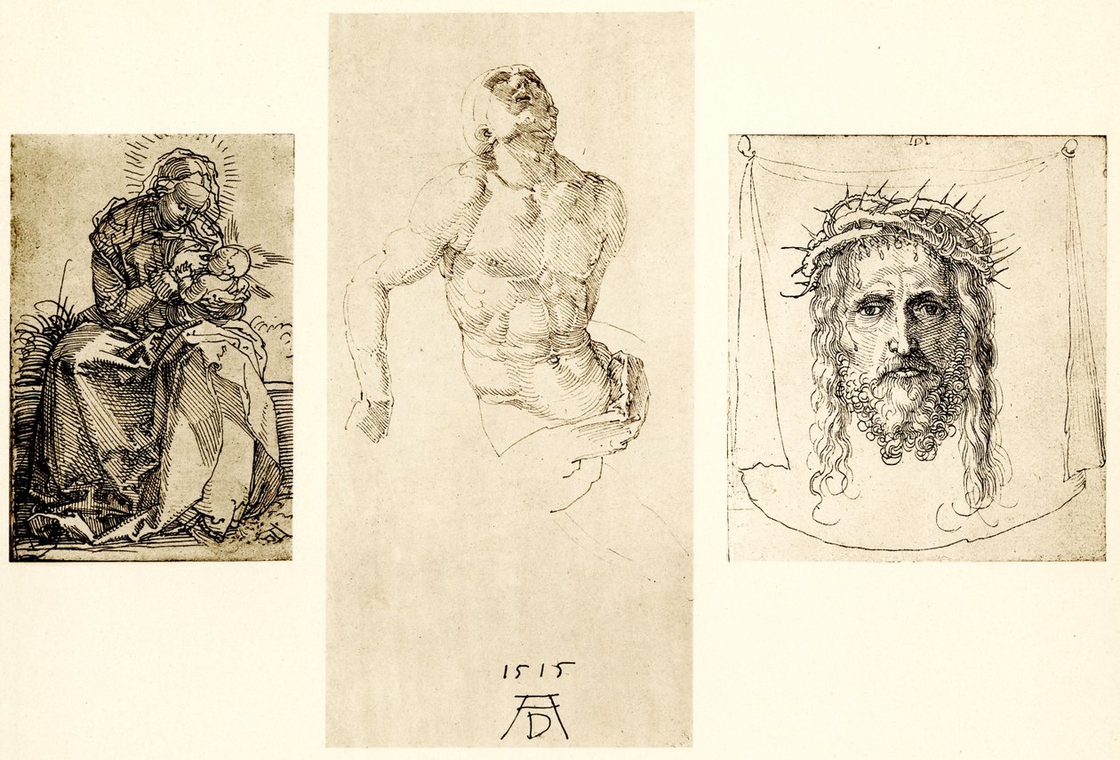 Maria na trawiastym brzegu autorstwa Albrecht Dürer