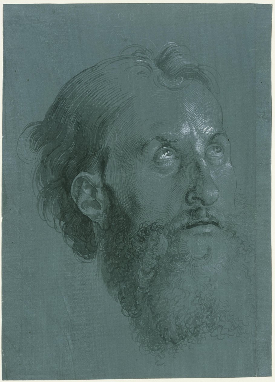 Głowa apostoła zwrócona w prawo autorstwa Albrecht Dürer