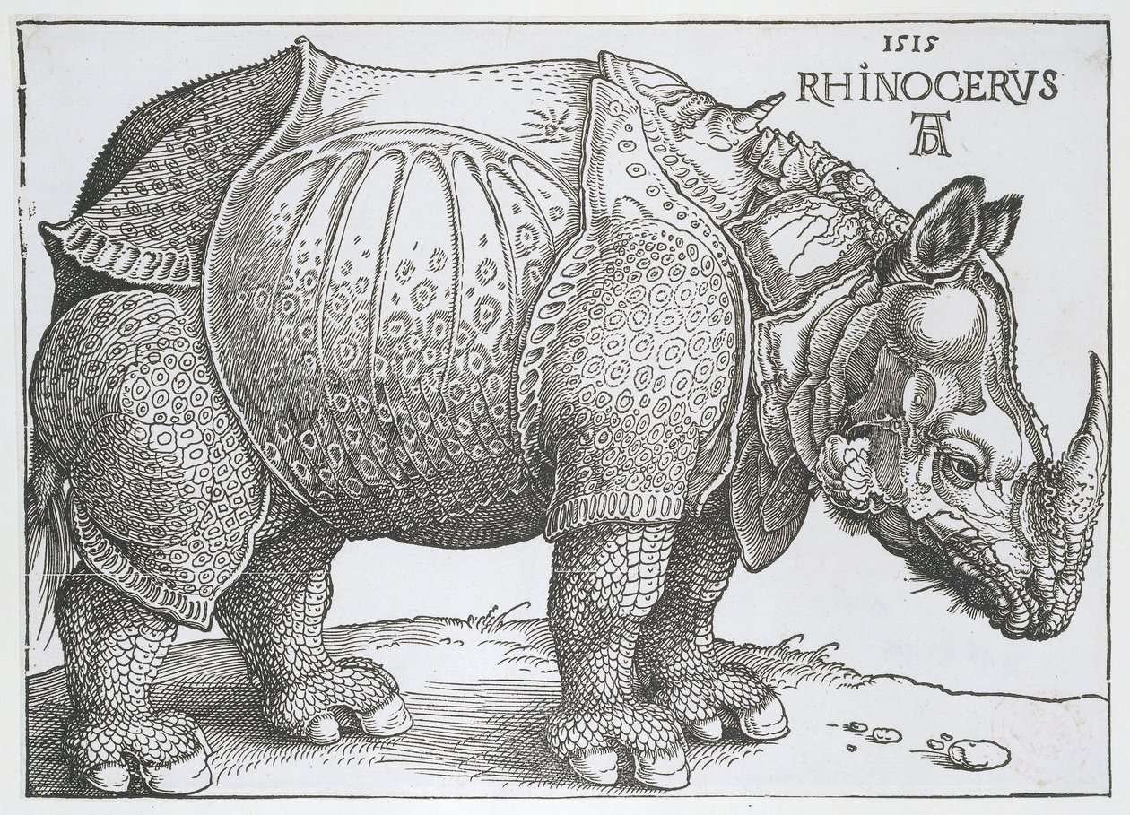 Neushoorn Nosorożec (tytuł na obiekcie) autorstwa Albrecht Dürer
