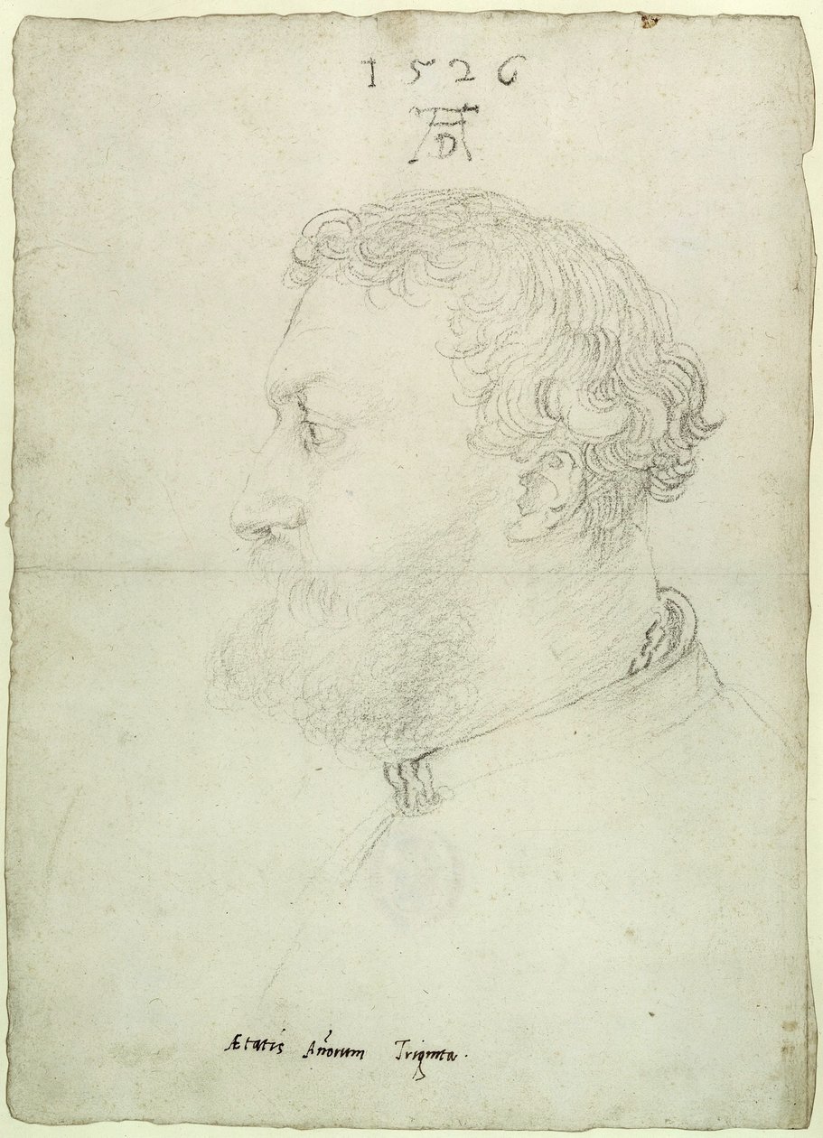 Portret profilowy Raimunda Fuggera autorstwa Albrecht Dürer