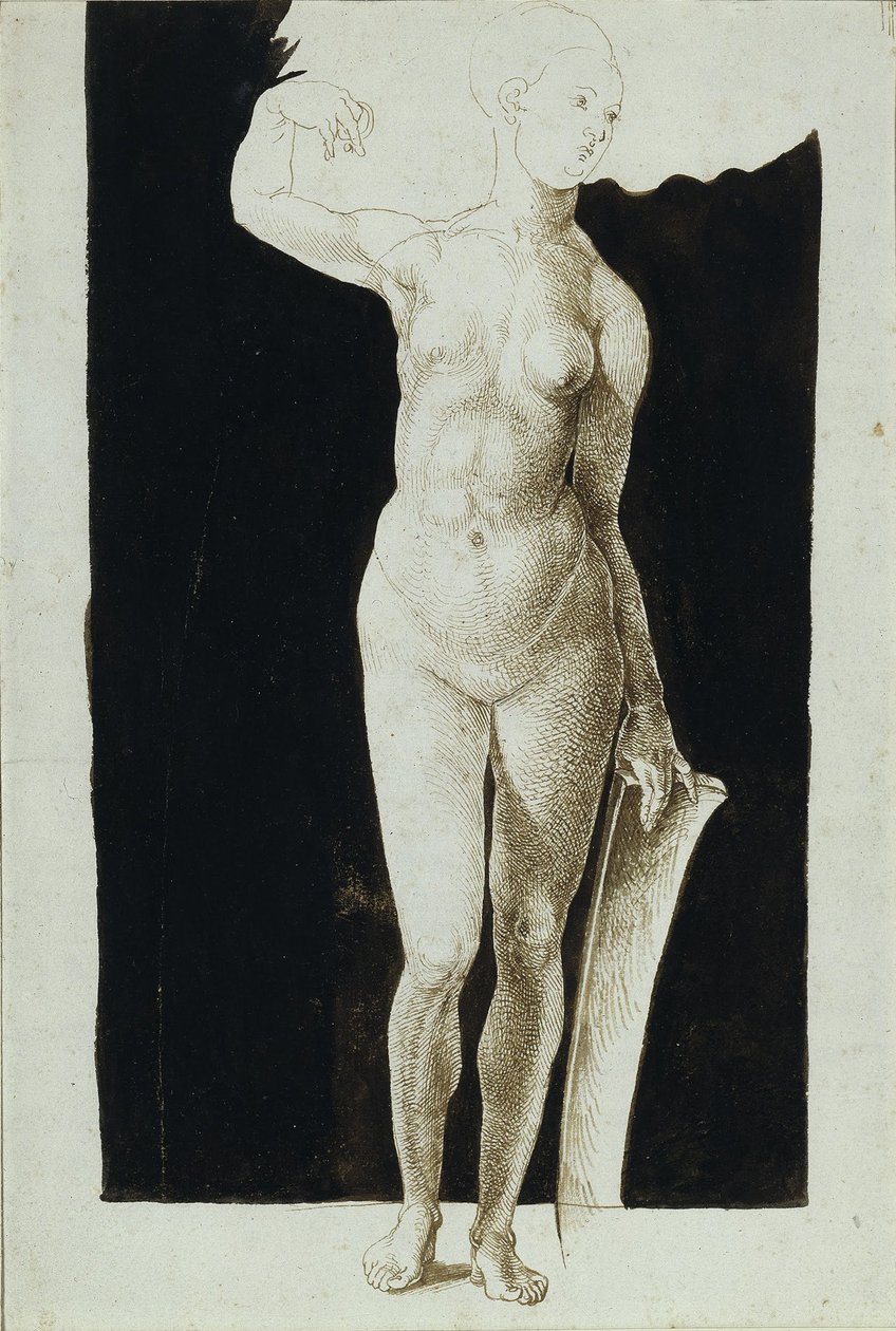 Studium proporcjonalne aktu kobiecego z tarczą, 1500 autorstwa Albrecht Dürer