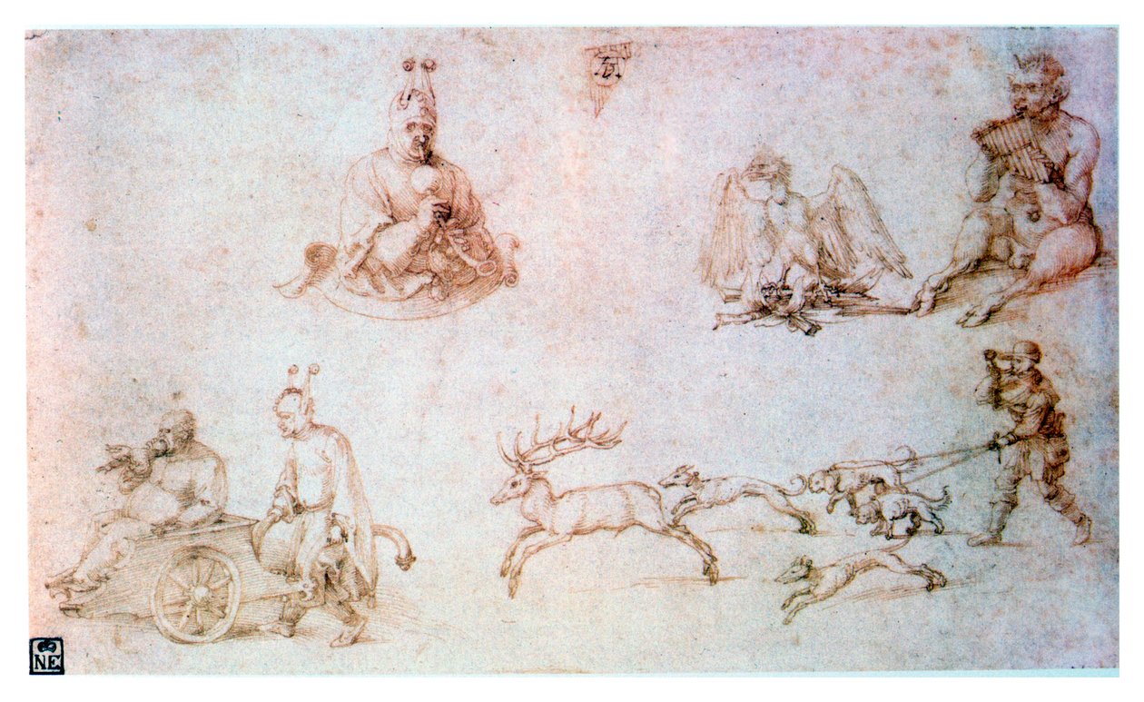 Studium czerwonej kredy, ok. 1500 autorstwa Albrecht Dürer