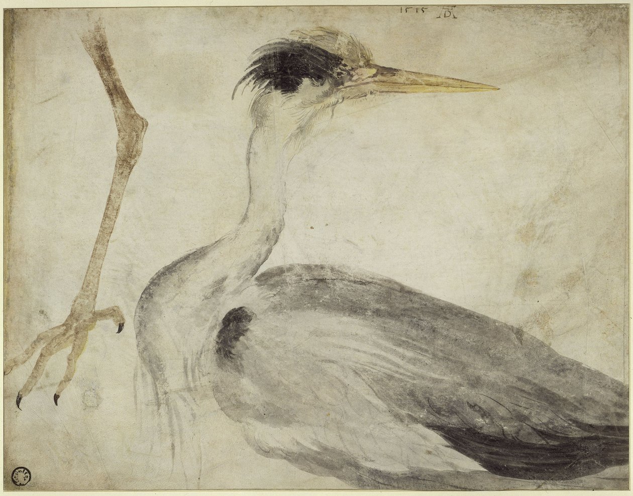 Czapla autorstwa Albrecht Dürer