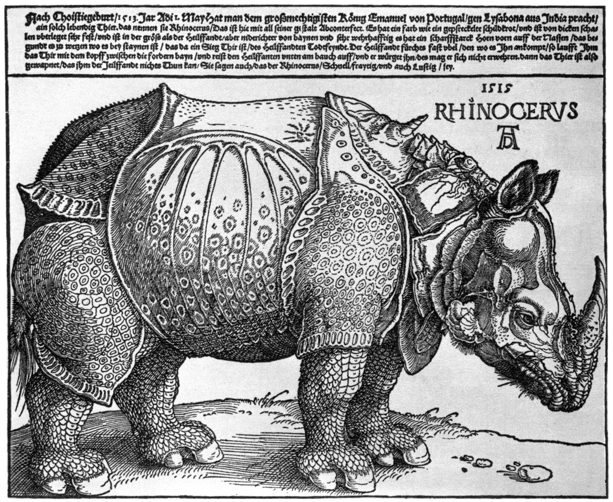 Nosorożec, grafika podarowana Maksymilianowi I przez króla Lizbony, 1515, 1936 autorstwa Albrecht Dürer