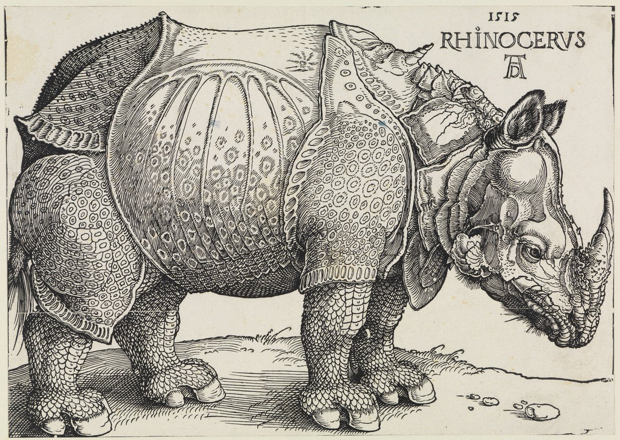 Rhinocerus (Nosorożec) autorstwa Albrecht Dürer