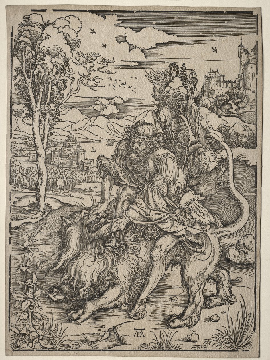 Samson zabijający lwa autorstwa Albrecht Dürer