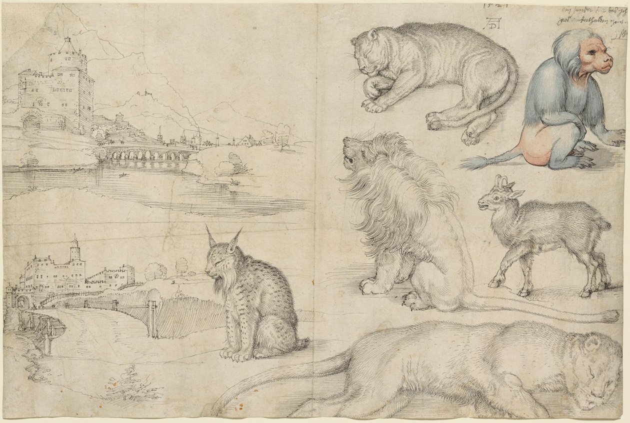 Szkice zwierząt i krajobrazów, 1521. autorstwa Albrecht Dürer