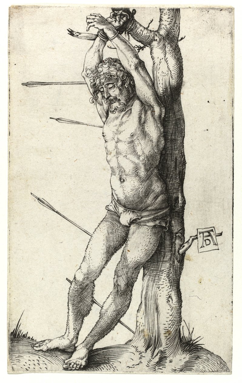 Św. Sebastian przywiązany do drzewa, ok.1501 autorstwa Albrecht Dürer
