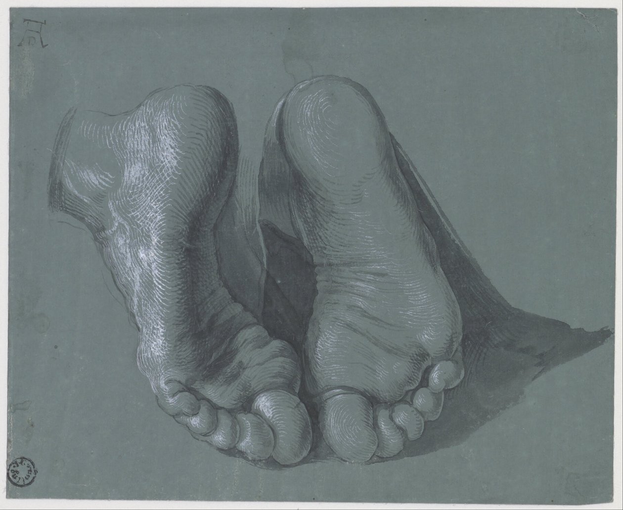 Studium dwóch stóp autorstwa Albrecht Dürer