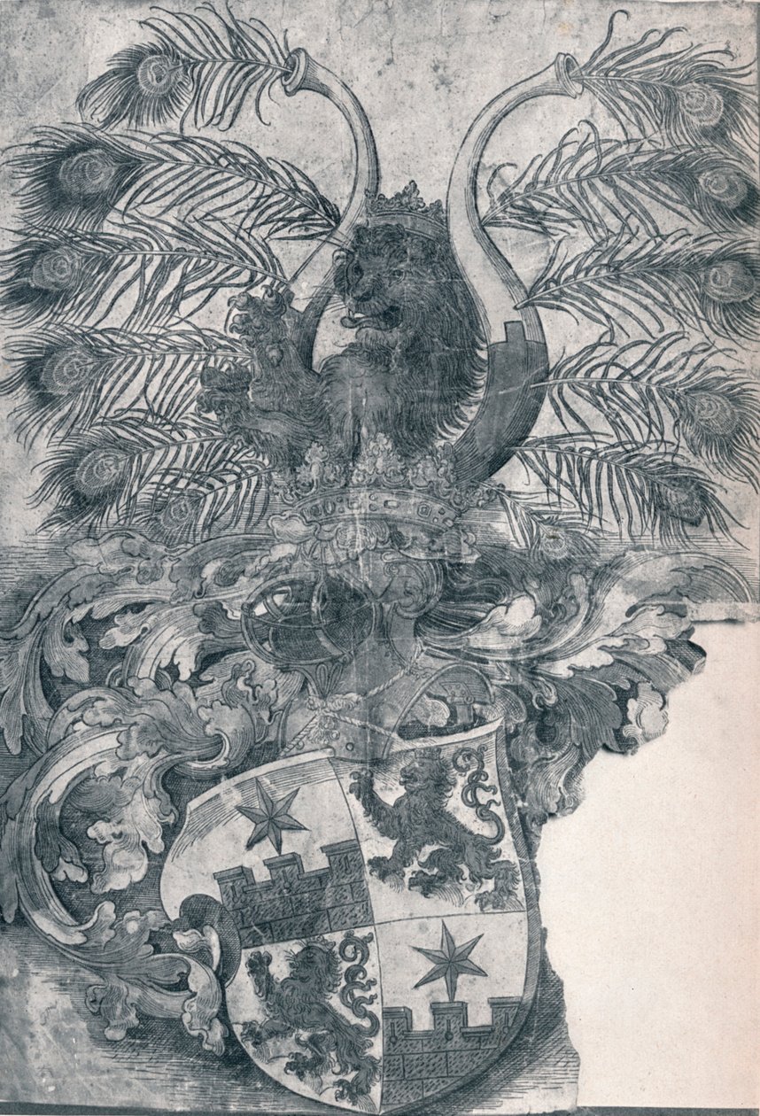 Herb Wilhelma i Wolfganga Roggendorffów, 1520 1906 autorstwa Albrecht Dürer