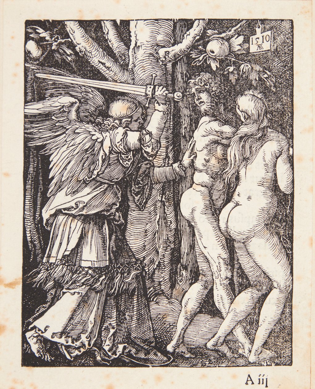 Wypędzenie z raju autorstwa Albrecht Dürer