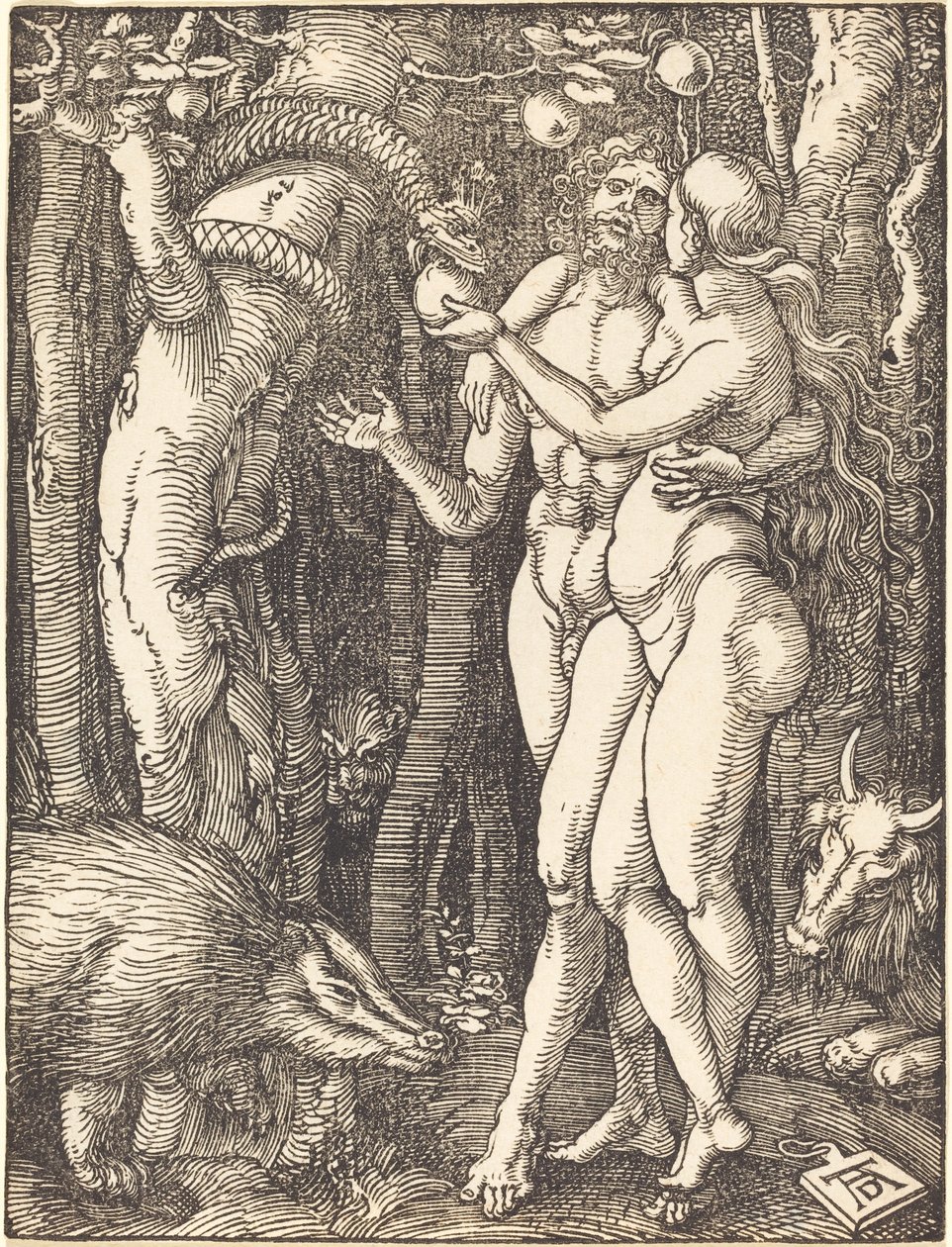 Upadek człowieka autorstwa Albrecht Dürer