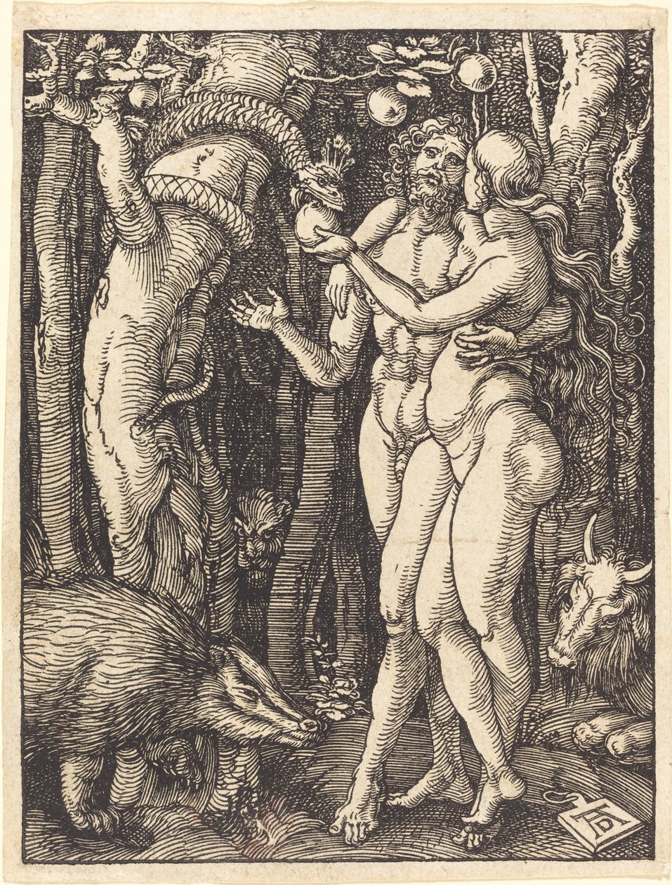 Upadek człowieka autorstwa Albrecht Dürer